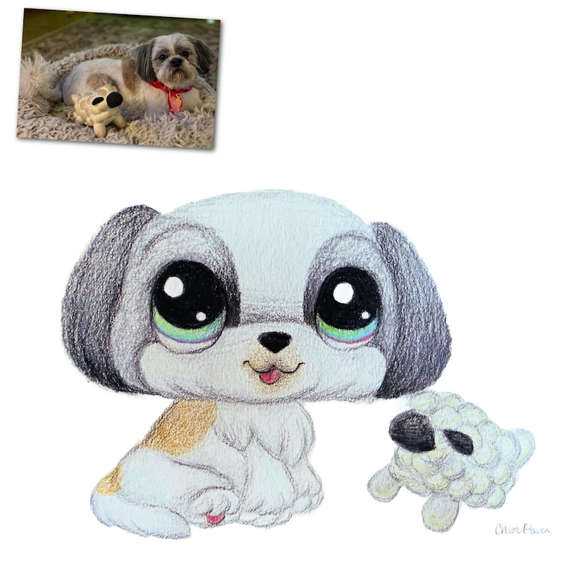 May include: A colored pencil drawing of a cartoon-style Shih Tzu dog with large, expressive eyes and a small stuffed sheep. The dog has white, gray, and tan markings. A smaller image of a real dog is in the upper left corner.