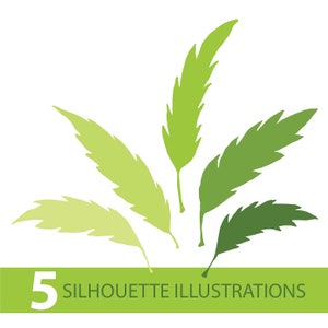 PALM deja SILHOUETTE ILLUSTRATION dibujo en svg pdf ai jpg png dxf formato tropical clip art, Floral verano corte archivo playa vector digital
