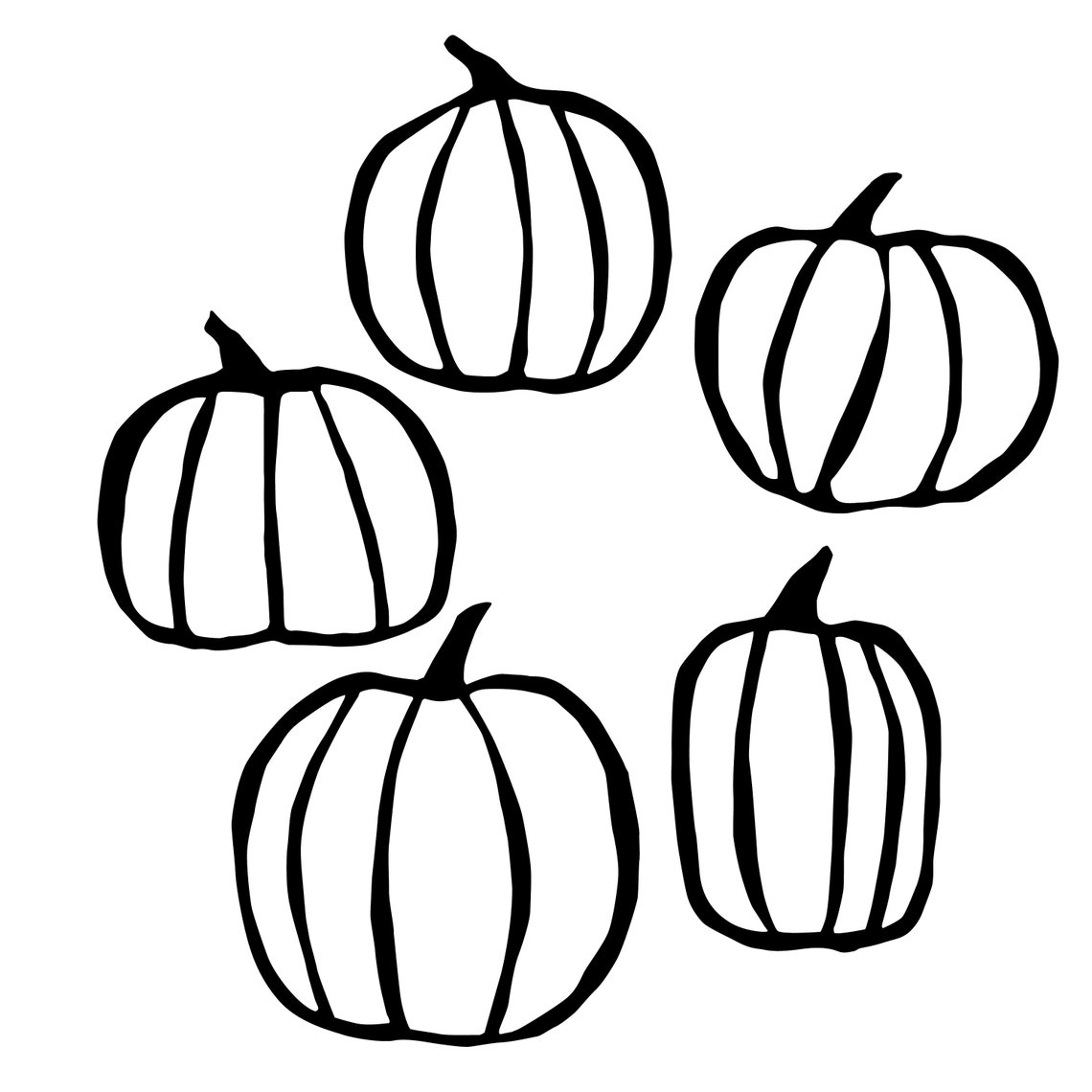 THANKSGIVING Pumpkins SILHOUETTE ILLUSTRATIONS Drawing in Svg - Etsy