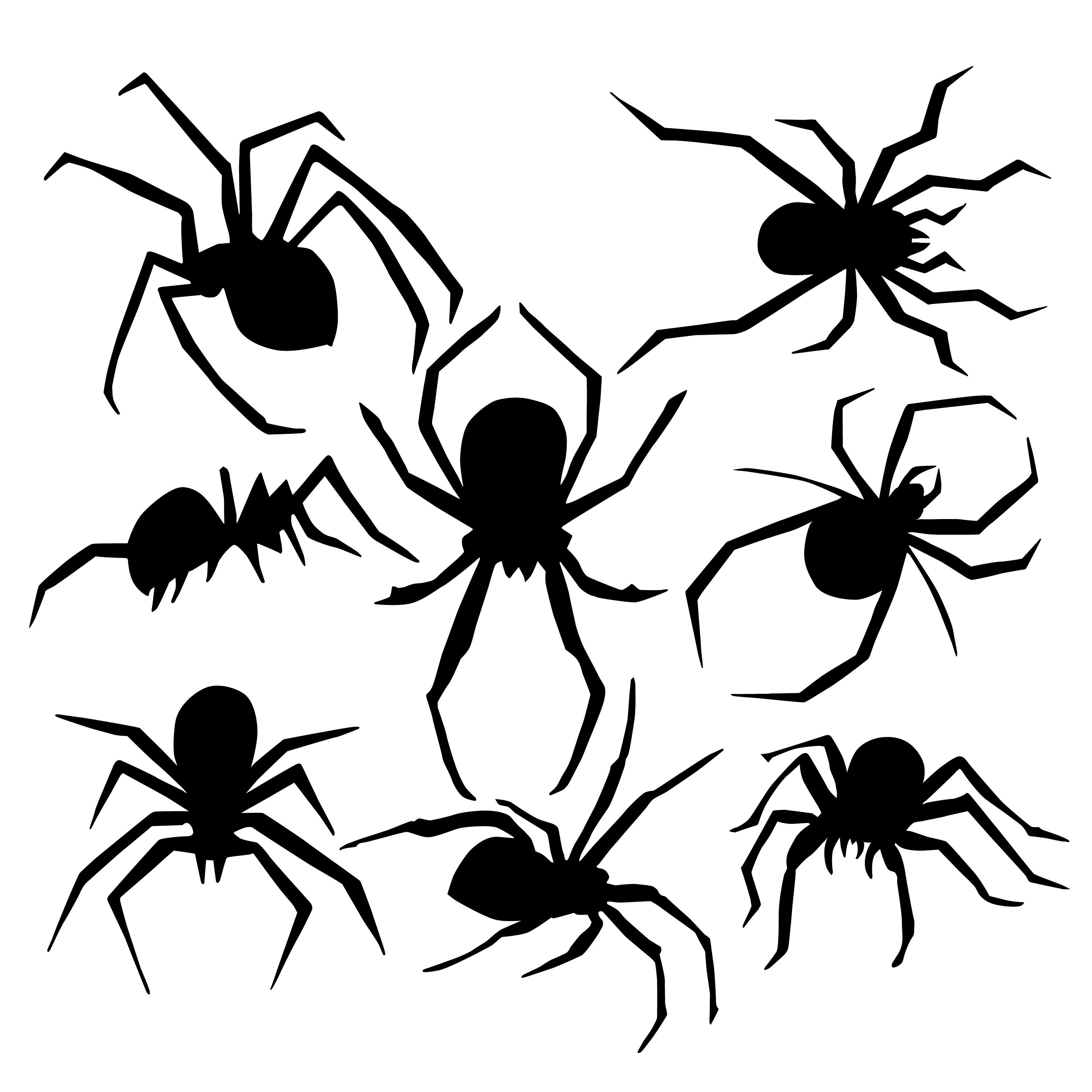 洋書 SPYDERS & SILHOUETTES SPIDER SILHOUETTE ILLUSTRATIONS, Drawing in Svg Pdf Ai Jpg Png Dxf