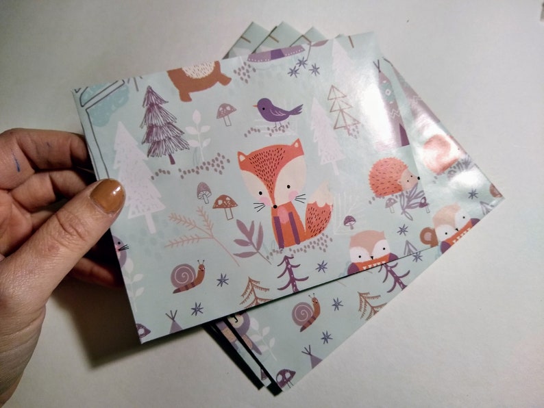 mushrooms and more including foxes A2 Envelope Set featuring sweet woodland animals in a cute tree filled forest owls hedgehogs