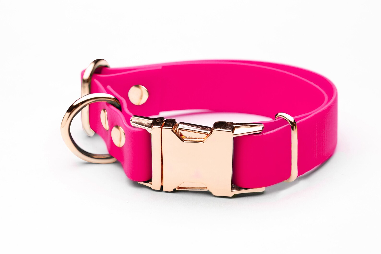 1 Inch Engraved Biothane Buckle Dog Collar Waterproof Etsy