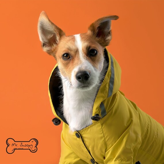 large dog waterproof coat