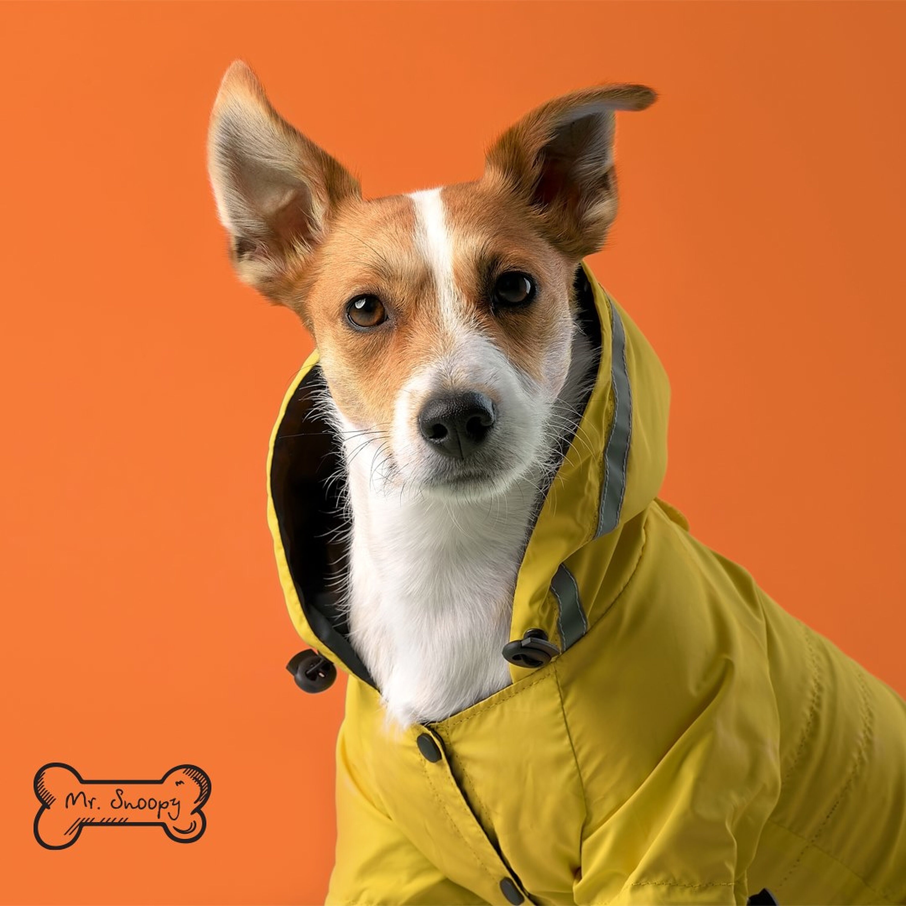 large dog rain jacket