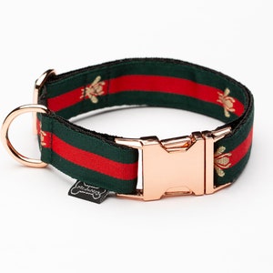 gucci inspired dog collar