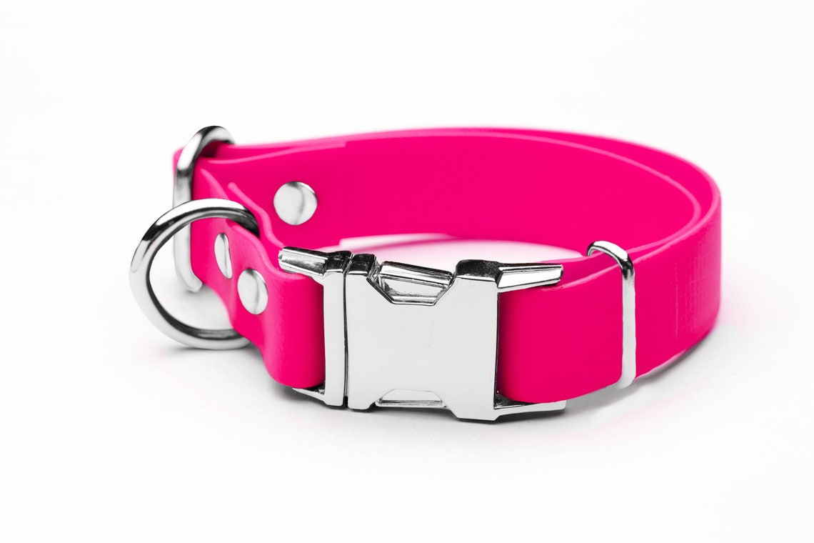 1 Inch Engraved Biothane Buckle Dog Collar Waterproof Etsy