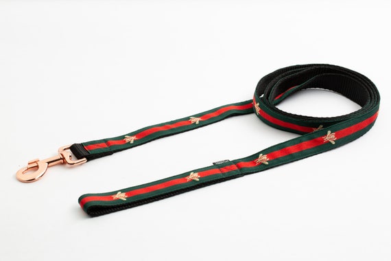 dog harness gucci