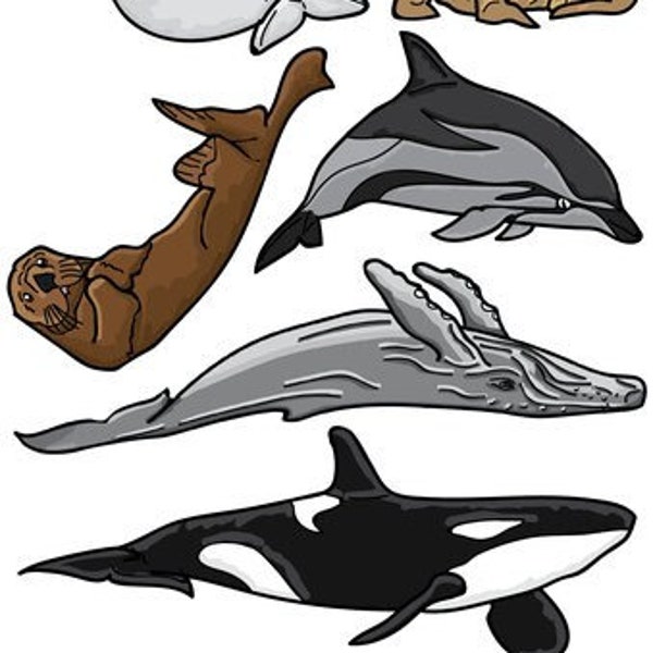 Marine Mammals Sticker Sheet (High Quality UV)