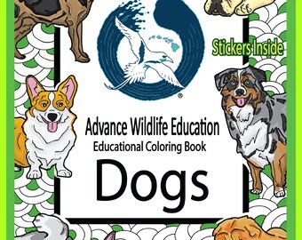 Libro para colorear educativo para perros