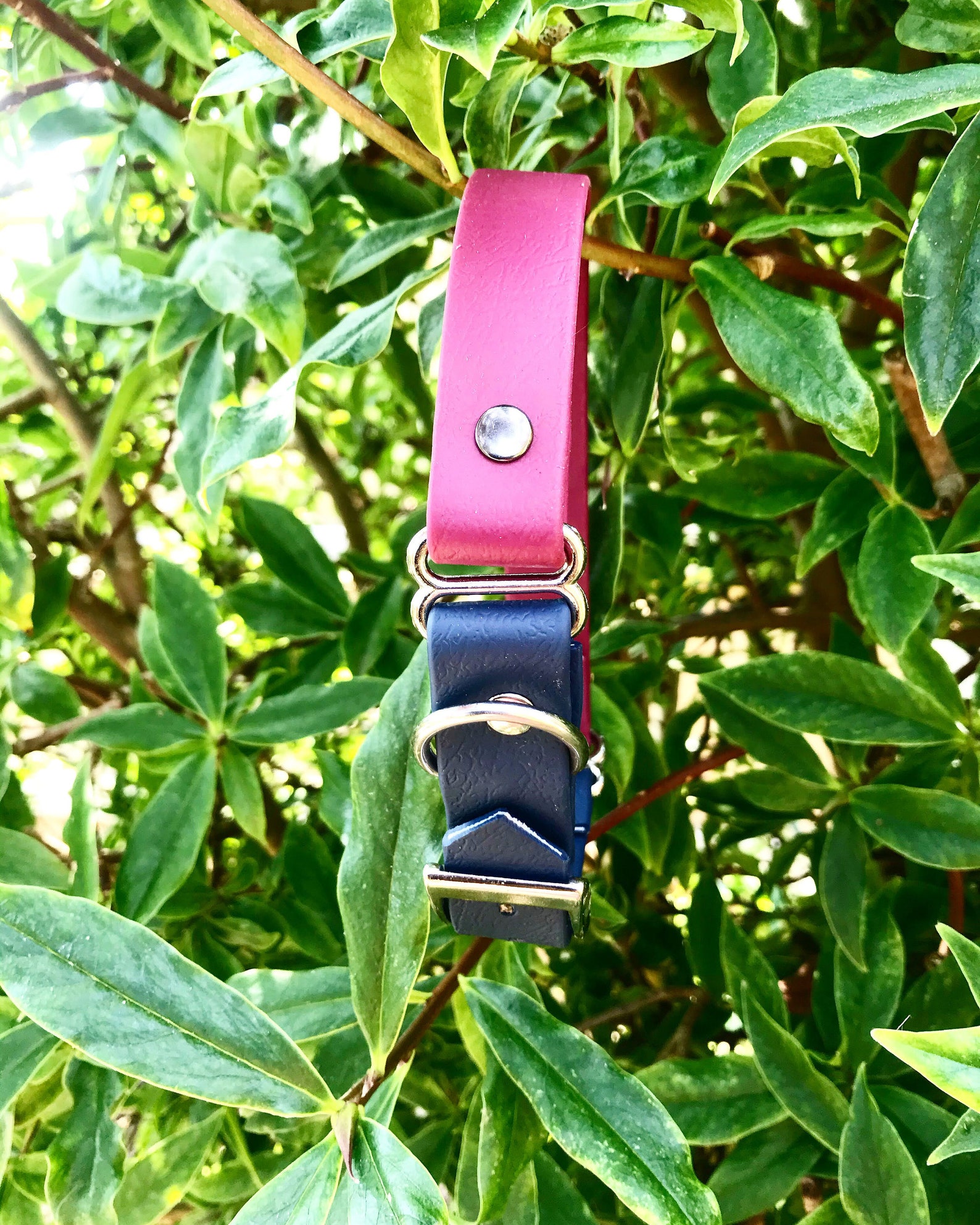 Abberley Dog Collar/ Biothane Dog Collars/ Waterproof Dog Etsy UK