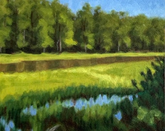 Marshy Lake