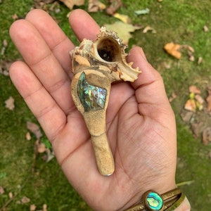 May include: A seashell pipe with a natural brown finish and iridescent abalone inlay. The pipe is held in a hand wearing several abalone shell bracelets.