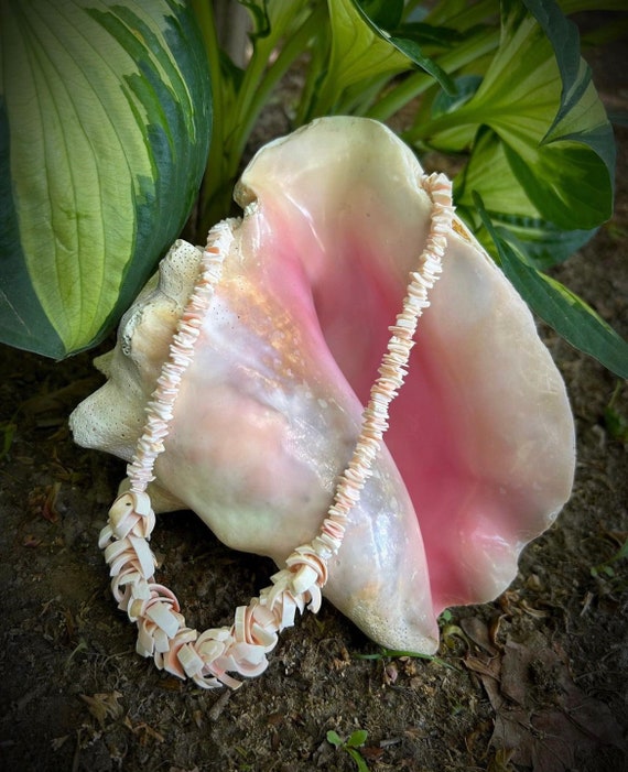 Vintage Conch Shell Necklace