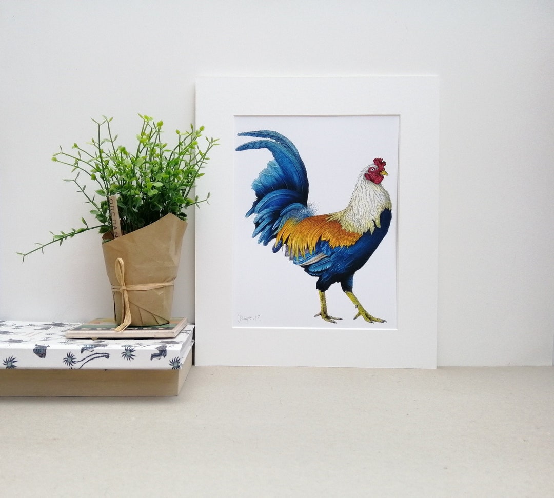 Cockerel Print Cockerel Drawing Cockerel Art Rooster Print - Etsy.de