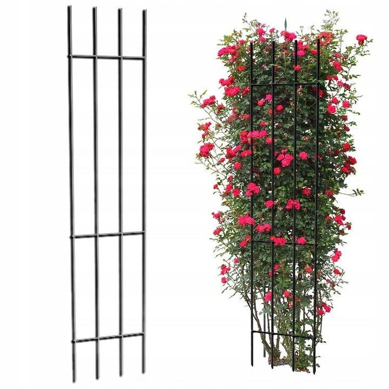 a tall metal trellis with vertical bars and a smaller metal trellis with horizontal bars, both containing a bush with red flowers.