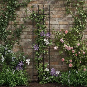 A lush garden scene with a brick wall backdrop, featuring a black metal trellis adorned with climbing flowers and greenery.