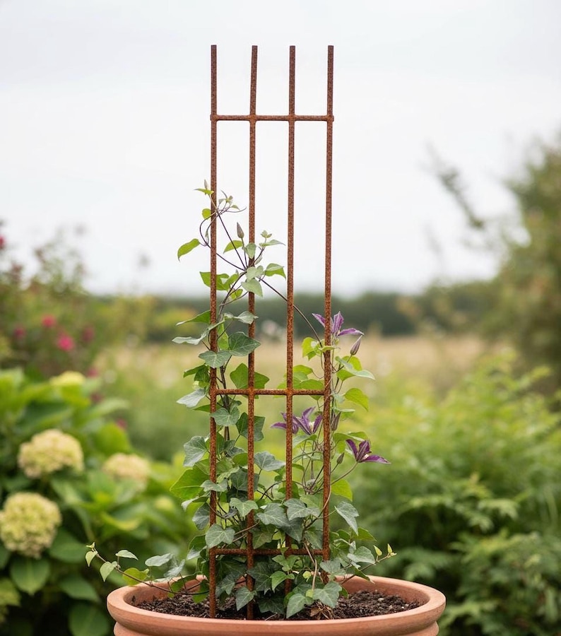 A potted plant with a tall, vertical metal trellis supporting climbing vines, creating a vertical garden effect.