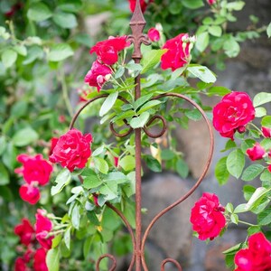 Rustikale Metall Garten Rankhilfe - 30 cm x 150 cm, Stahl, Rost- oder Schwarzfinish Edelrost Garten deko