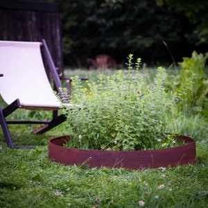 Op de afbeelding: Een roestige metalen plantenring omringt een groep groene planten in een grasachtige tuin. Een witte ligstoel is zichtbaar op de achtergrond.