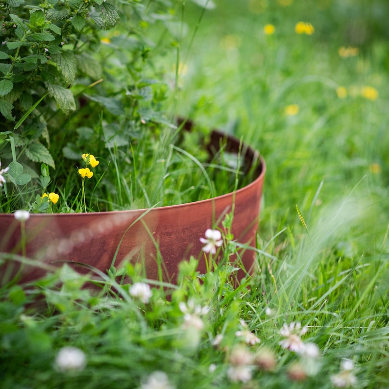 A red metal object partially emerges from a lush, green field, surrounded by yellow flowers and green grass.