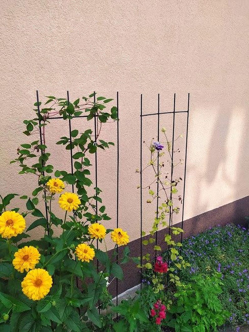 a garden with a variety of plants, including yellow flowers and green foliage, set against a pink wall.