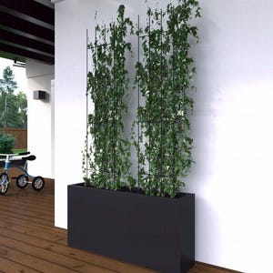 a large planter box filled with lush green vines, placed on a wooden floor against a white wall. In the background, there is a bicycle visible, adding a touch of outdoor activity to the indoor setting.
