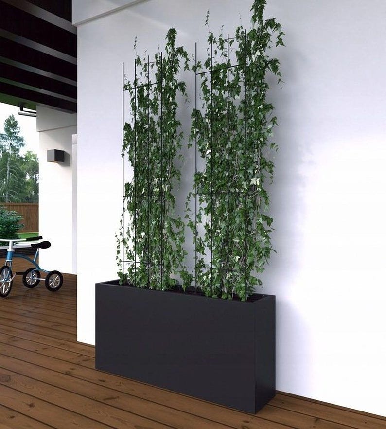 a large planter box filled with lush green vines, placed on a wooden floor against a white wall. In the background, there is a bicycle visible, adding a touch of outdoor activity to the indoor setting.