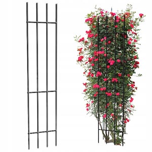 Tall Steel Garden Trellis - 150cm Vertical Plant Support, Fully Welded, Black or Rust Finish, Climbing Flower Frame (36cm Wide)