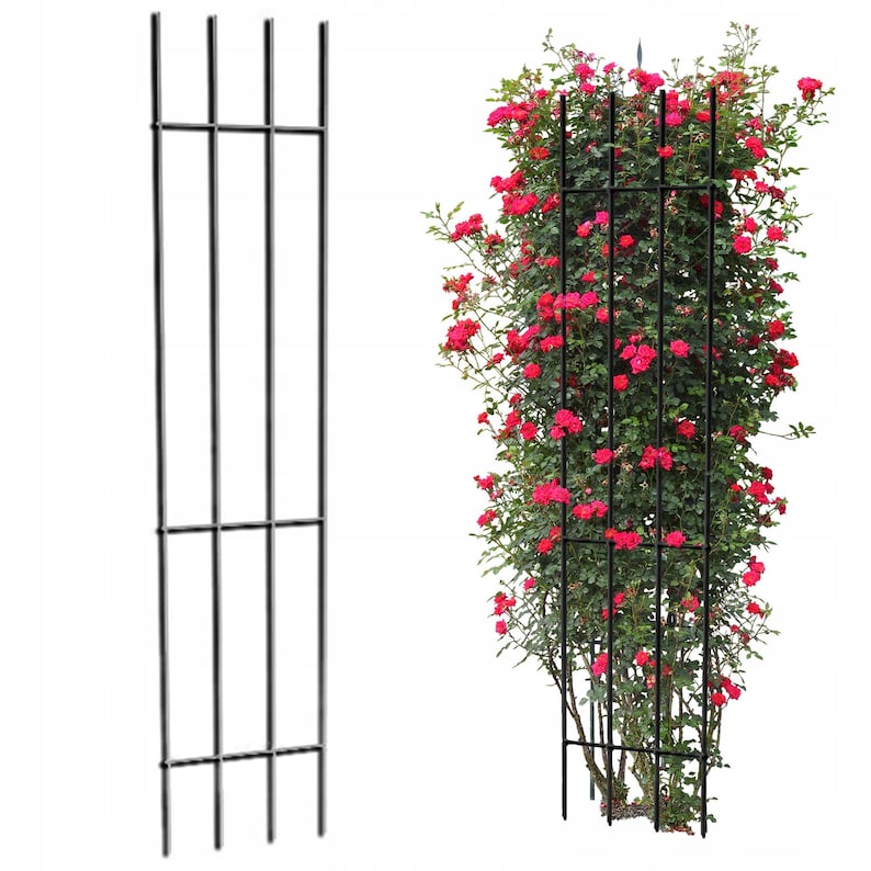 a tall metal trellis with vertical bars and a smaller metal trellis with horizontal bars, both containing a lush, blooming bush with vibrant red flowers.