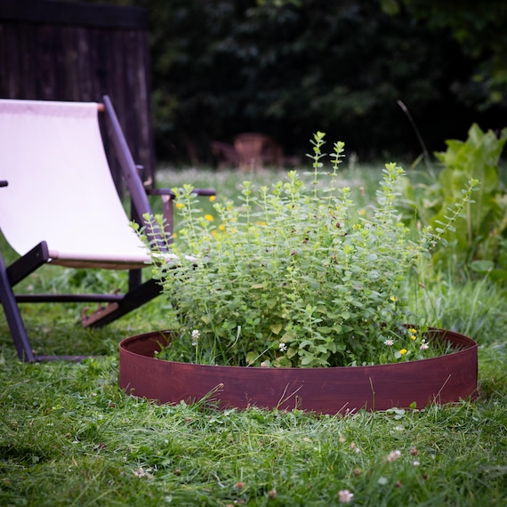 Rusty Steel Lawn Edging - Flexible Garden Border with Patina Finish