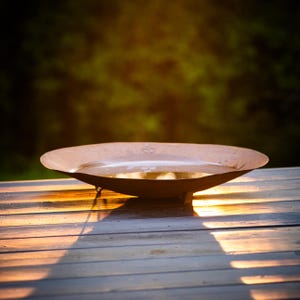 Può includere: Una ciotola poco profonda, circolare, in metallo marrone arrugginito con tre piedini, riempita d'acqua. La ciotola è appoggiata su una superficie di legno, con uno sfondo verde e giallo sfocato. La ciotola viene probabilmente utilizzata per scopi decorativi.
