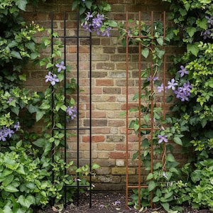 A black metal trellis with purple flowers growing on it, set against a brick wall with greenery.
