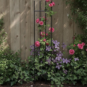 Treliça de aço para jardim - Estrutura alta para trepadeiras com acabamento em preto ou ferrugem.