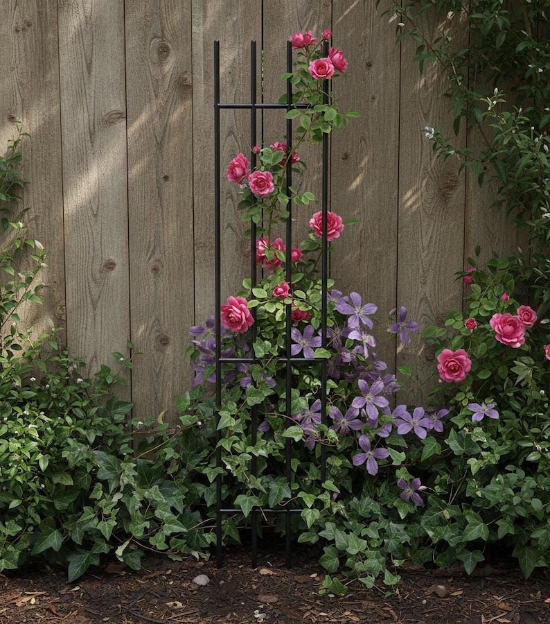 A black metal trellis with pink roses and purple flowers growing on it, set against a wooden fence and surrounded by lush greenery.