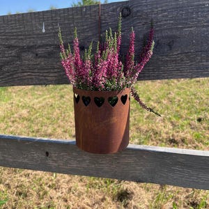 May include: A rusty metal planter with heart cutouts hangs from a wooden fence. The planter is filled with pink heather flowers.