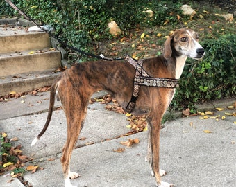 lurcher harness