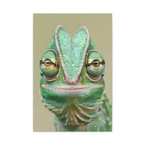 Primer plano de una iguana verde vibrante - Lienzo de 40 x 60 cm / Retrato realista de reptil para la decoración del hogar de los amantes de la naturaleza y los animales