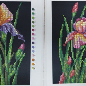 May include: Two diamond painting kits featuring iris flowers. The first kit features a yellow and purple iris with green leaves. The second kit features a pink and yellow iris with green leaves.