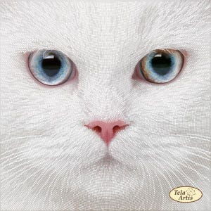 Könnte beinhalten: Nahaufnahme eines weißen Katzenkopfes mit auffälligen blauen Augen und einer rosa Nase. Das Fell ist mit winzigen weißen Punkten detailliert, was einen strukturierten Effekt erzeugt. Das quadratische Bild zeigt die Merkmale der Katze.