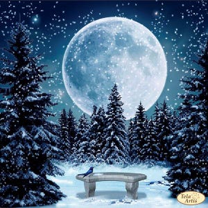 May include: A serene winter scene featuring a full moon in a starry sky. Snow-covered evergreen trees frame a stone bench with a blue bird perched on it. The image evokes a sense of peace and tranquility.