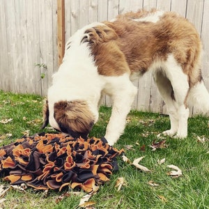 Washable Dense 18.5x22.5 Inch Custom Large Snuffle Mat/ Treat Puzzle/ Interactive Rooting Mat/ Enrichment Toy/Reward Mat for Dogs