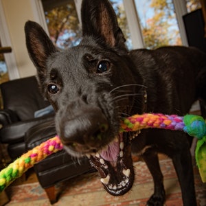 Dog Tug Toys Made of Durable Fleece, Interactive Dog Toy, Chase/Fetch/Throw Toy, Washable and Fun Dog Toy, Fun for Small and Large Dogs