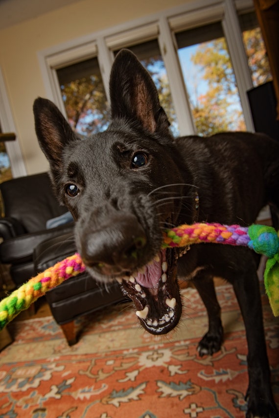 Dog Tug Toys Made of Durable Fleece Interactive Dog Toy Chase fetch throw Toy Washable and Fun Dog Toy Fun for Small and Large Dogs Etsy Canada