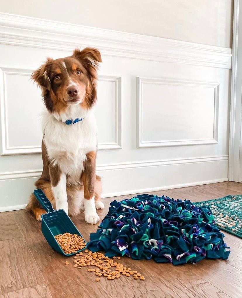 WASHABLE Dense 17x19 Inch Custom Snuffle Mat/dog Treat Puzzle/rooting Mat/  Enrichment Toy/reward Mat for Dogs/feeding Mat/dog Activity Mat 