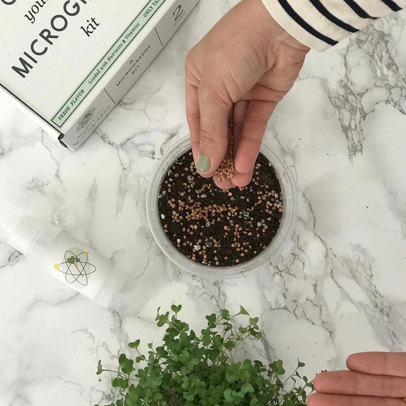Grow Your Own Microgreens Kit Radish & Broccoli Bild 3