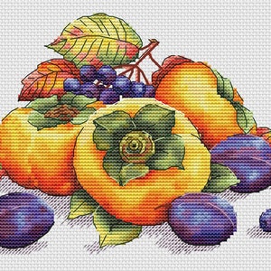 May include: A still life featuring a cluster of ripe persimmons, plums, and grapes. The persimmons are orange and yellow, the plums are dark purple, and the grapes are dark blue. The fruit is arranged on a white background with green leaves.