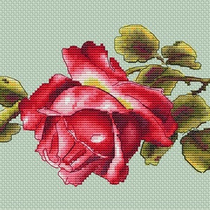 Red rose cross stitch pattern