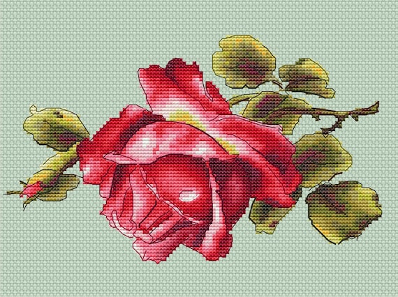 Red Rose Cross Stitch Pattern - Etsy