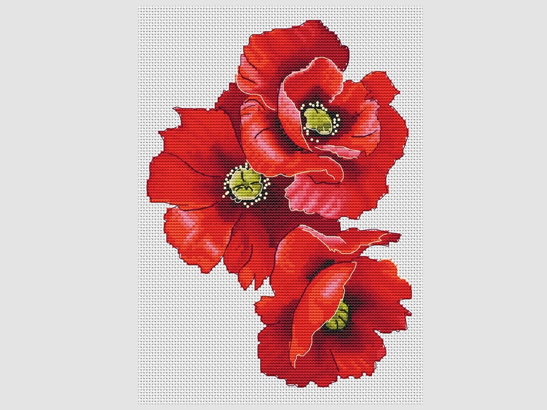 Poppy Cross Stitch Pattern Poppy Flowers Cross Stitch Pattern Etsy