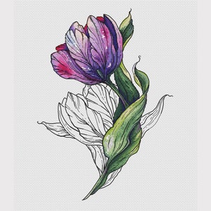 Peut inclure: Une peinture à l'aquarelle d'une tulipe violette et rose avec des feuilles vertes. La tulipe est partiellement soulignée en noir.